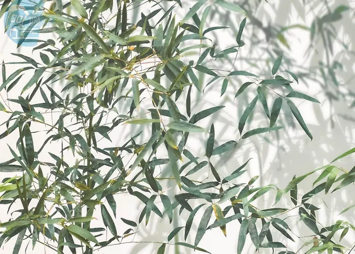 Bluemare E Blueterra Tirabora Short Rent, Con Parcheggio Privato Trieszt